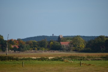 Blick zum Löwendorfer Berg und dem Aussichtsturm © Landschafts-Förderverein Nuthe-Nieplitz-Niederung e.V./Peter Koch