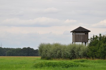 Vogelbeobachtungsturm an den Ungeheuerwiesen bei Blankensee © LFV NNN e.V./Peter Koch